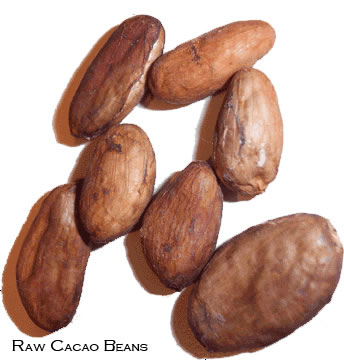 raw cacao beans
