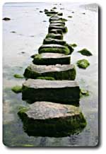 leap in community